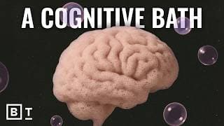 The science behind the 10-minute brain reset walk | Wendy Suzuki
