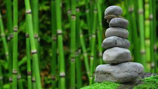 Equanimity Meditation