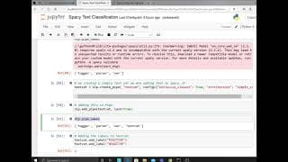 Build Powerful Text Classification Model with Spacy NLP | Amazon product review dataset | python