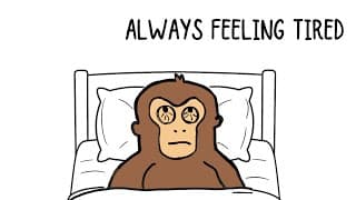 Why You're Always TIRED But Do Nothing All Day | Monkey Mind Explains